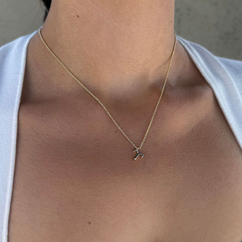 14k Gold Plated Zodiac Necklace