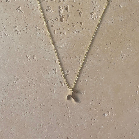 14k Gold Plated Zodiac Necklace