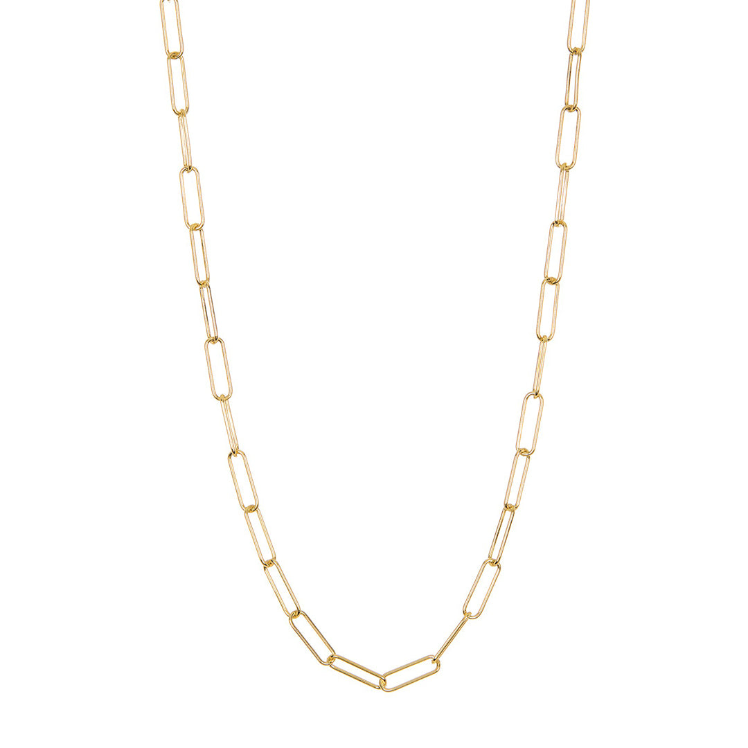 Adornia Paper Clip Link with Exposed Crystal Lock Necklace silver gold –  ADORNIA